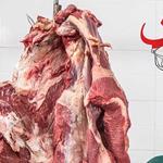 گینس - فیلمی از محسن تنابنده